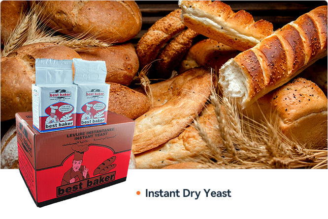 Instant Dry Yeast