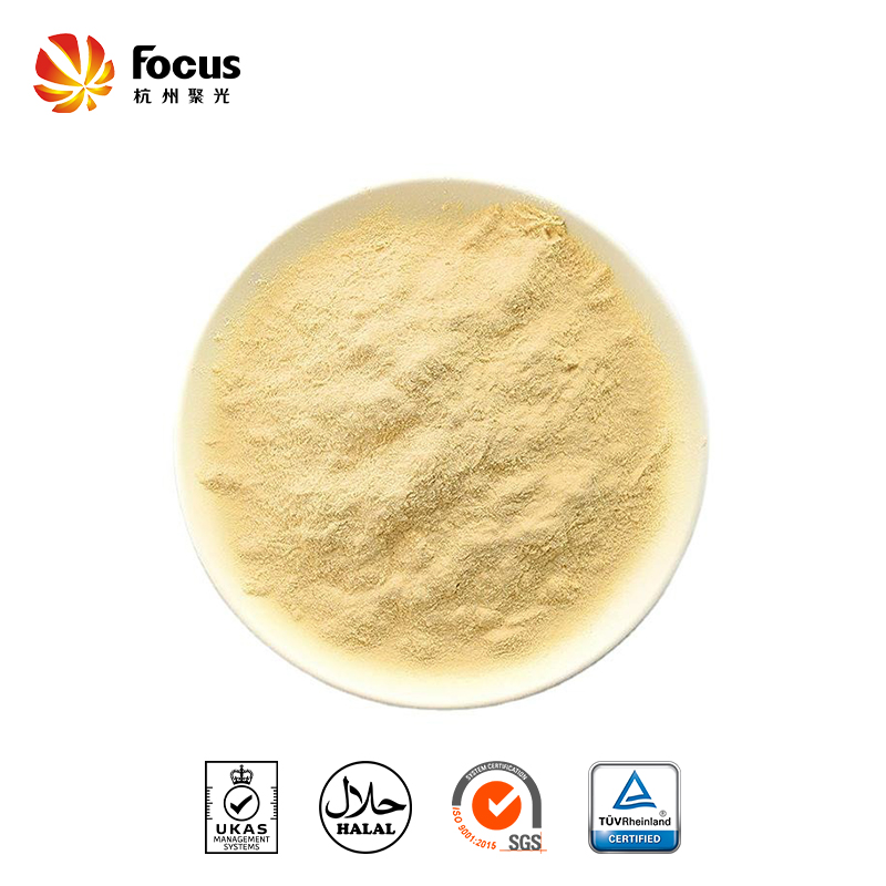 Wholesale Yeast Cell Wall Manufacturer and suppliers Focus